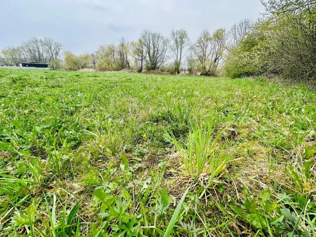 Prodej pozemku pro bydlení, Dlouhá Lhota, 3560 m2