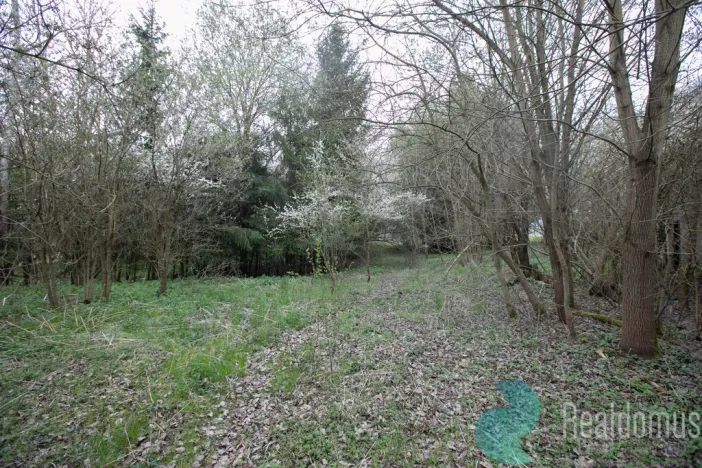 Prodej zemědělské usedlosti, Bečice, 502 m2
