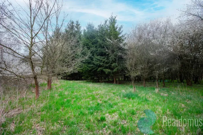 Prodej zemědělské usedlosti, Bečice, 502 m2