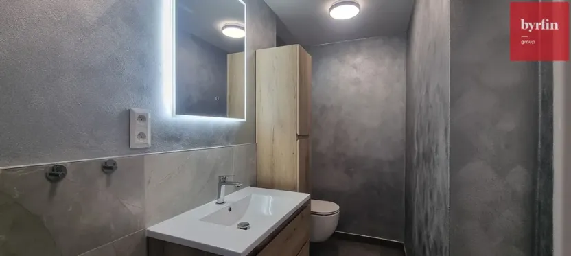 Pronájem bytu 2+kk, Opava, Březinova, 59 m2