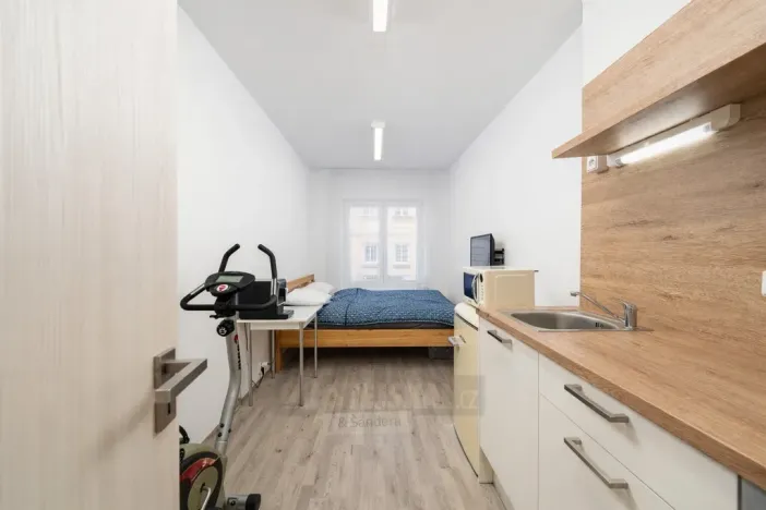 Prodej bytu 1+kk, České Budějovice - České Budějovice 3, Skuherského, 23 m2