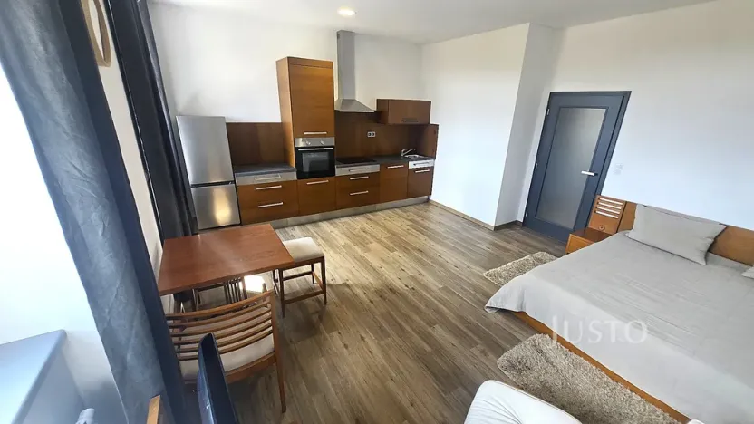 Pronájem bytu 1+kk, Písek, Vladislavova, 40 m2