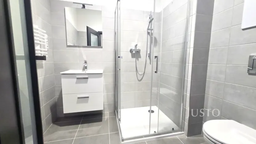 Pronájem bytu 1+1, Písek, Vladislavova, 40 m2