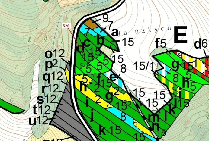 Dražba lesa, Náměšť nad Oslavou, 1796 m2
