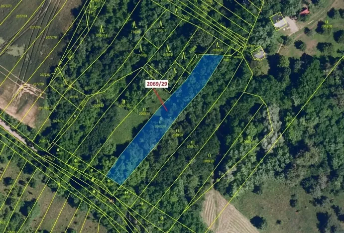 Dražba lesa, Ivančice, 1130 m2