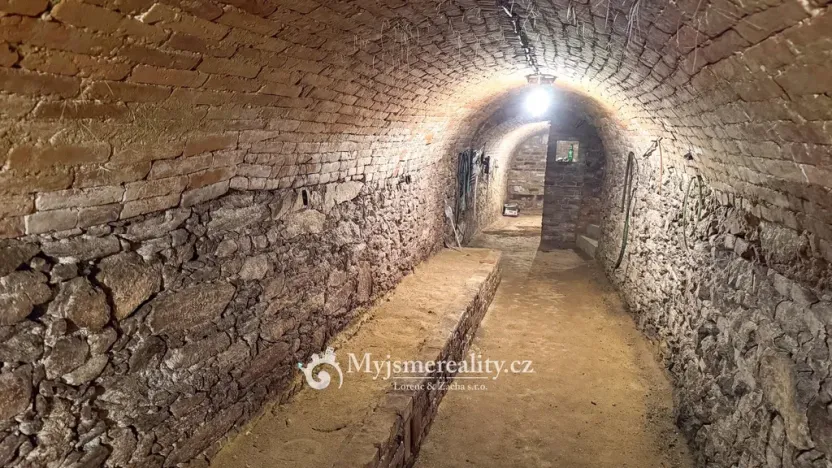 Prodej zahrady, Šatov, 875 m2