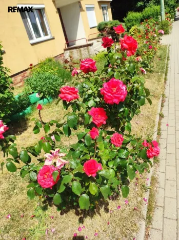 Pronájem bytu 2+1, Karlovy Vary - Stará Role, Okružní, 50 m2