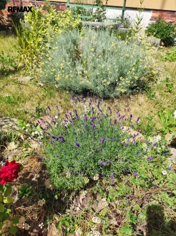 Pronájem bytu 2+1, Karlovy Vary - Stará Role, Okružní, 50 m2