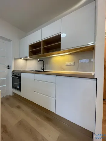 Prodej bytu 2+kk, Bílina, Litoměřická, 41 m2
