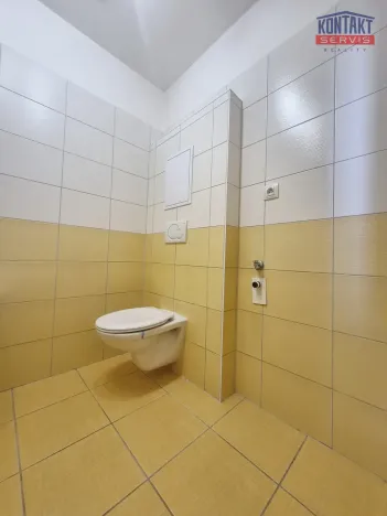 Pronájem bytu 2+kk, České Budějovice, Litvínovická, 50 m2
