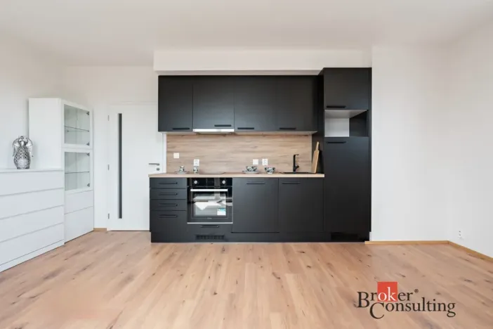 Pronájem bytu 1+kk, Heřmanova Huť - Vlkýš, U Pondu, 35 m2