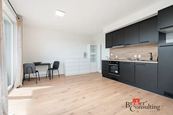 Pronájem bytu 1+kk, Heřmanova Huť - Vlkýš, U Pondu, 35 m2