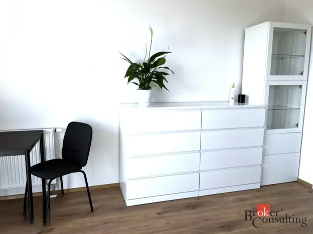 Pronájem bytu 1+kk, Heřmanova Huť - Vlkýš, U Pondu, 35 m2