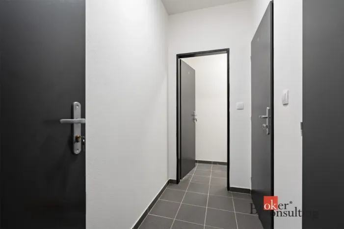 Pronájem bytu 1+kk, Heřmanova Huť - Vlkýš, U Pondu, 35 m2