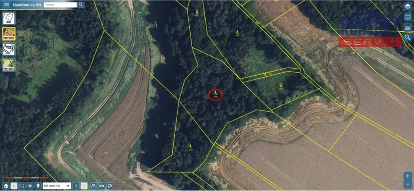 Prodej lesa, Rychnov na Moravě, 5546 m2