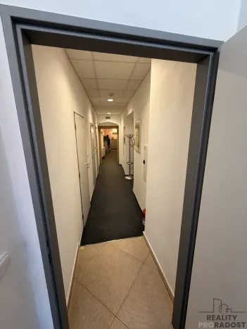 Pronájem kanceláře, Olomouc, Dolní náměstí, 204 m2