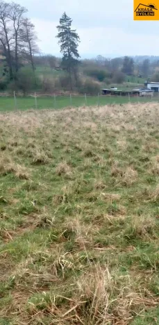Prodej louky, Polom, 3371 m2