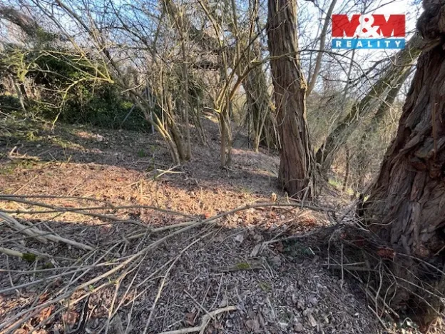 Prodej pozemku pro bydlení, Škvorec, Na Pazderně, 3021 m2