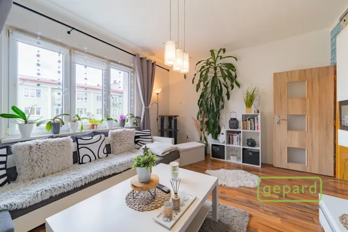 Prodej bytu 2+1, Ostrov, S. K. Neumanna, 54 m2