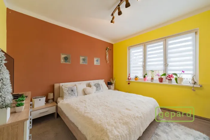 Prodej bytu 2+1, Ostrov, S. K. Neumanna, 54 m2