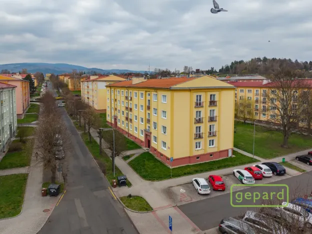 Prodej bytu 2+1, Ostrov, S. K. Neumanna, 54 m2