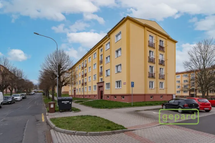 Prodej bytu 2+1, Ostrov, S. K. Neumanna, 54 m2