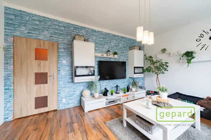 Prodej bytu 2+1, Ostrov, S. K. Neumanna, 54 m2