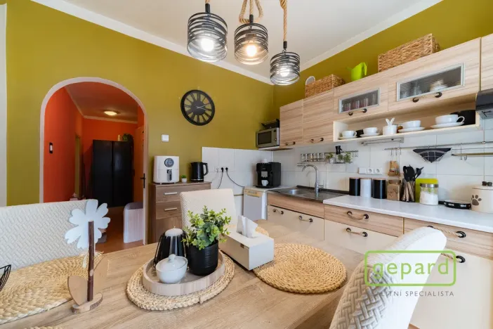 Prodej bytu 2+1, Ostrov, S. K. Neumanna, 54 m2