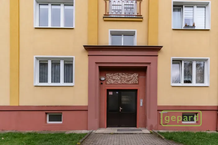 Prodej bytu 2+1, Ostrov, S. K. Neumanna, 54 m2