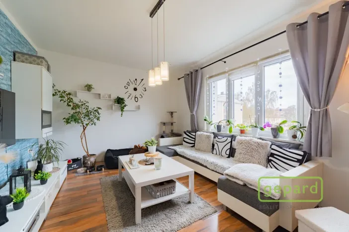 Prodej bytu 2+1, Ostrov, S. K. Neumanna, 54 m2
