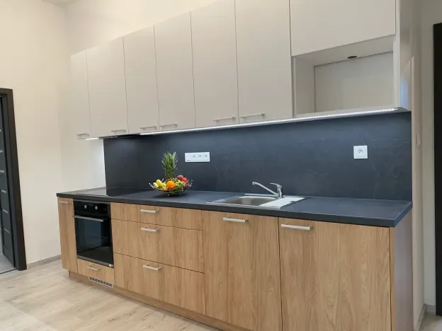 Pronájem bytu 2+kk, Ústí nad Labem - Střekov, Žukovova, 50 m2