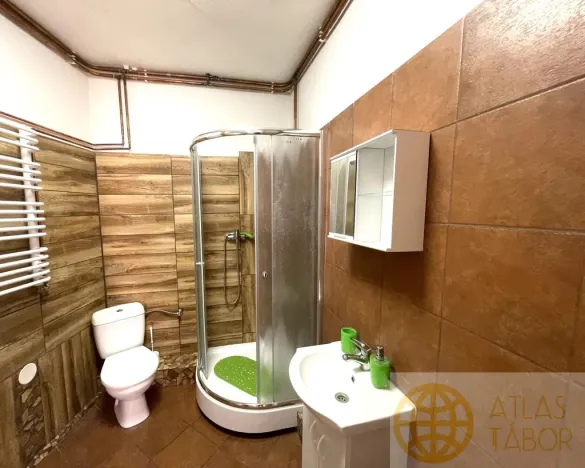 Pronájem bytu 2+kk, Opařany, 90 m2