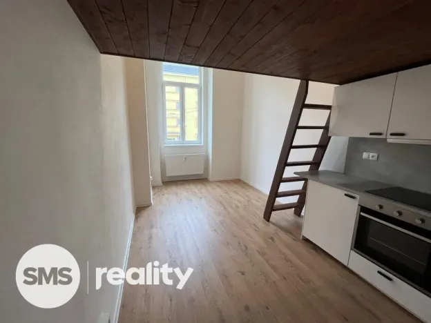 Pronájem bytu 1+kk, Ostrava - Přívoz, Palackého, 25 m2