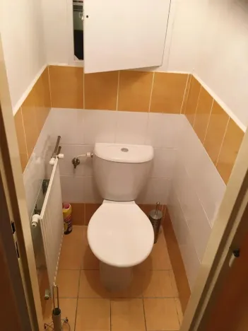 Prodej bytu 2+1, Duchcov, Jungmannova, 50 m2