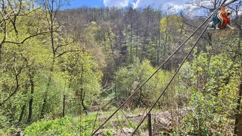 Prodej chaty, Brno - Bystrc, 24 m2