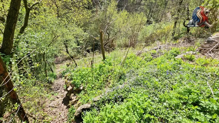 Prodej chaty, Brno - Bystrc, 24 m2