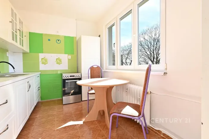 Pronájem bytu 2+1, Litvínov, Tylova, 53 m2