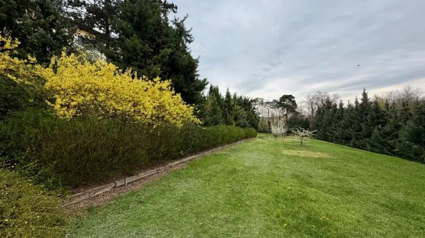 Prodej vily, Dolní Kounice, Zámecká, 270 m2