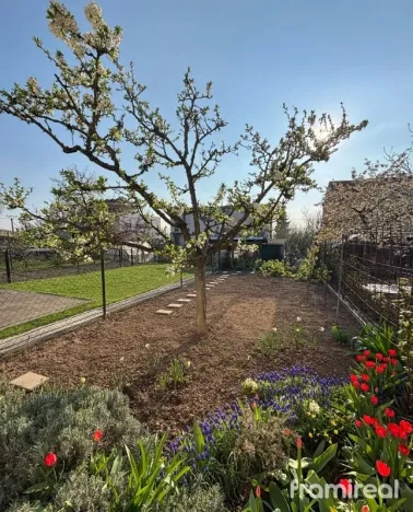 Prodej vícegeneračního domu, Brno, Jánošíkova, 160 m2