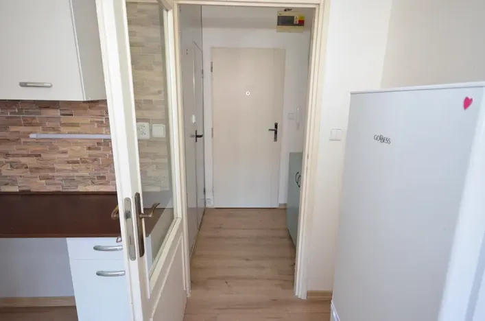Pronájem bytu 1+kk, Frýdek-Místek, Javorová, 23 m2