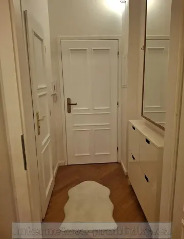 Pronájem bytu 1+kk, Praha - Nusle, náměstí Bratří Synků, 23 m2