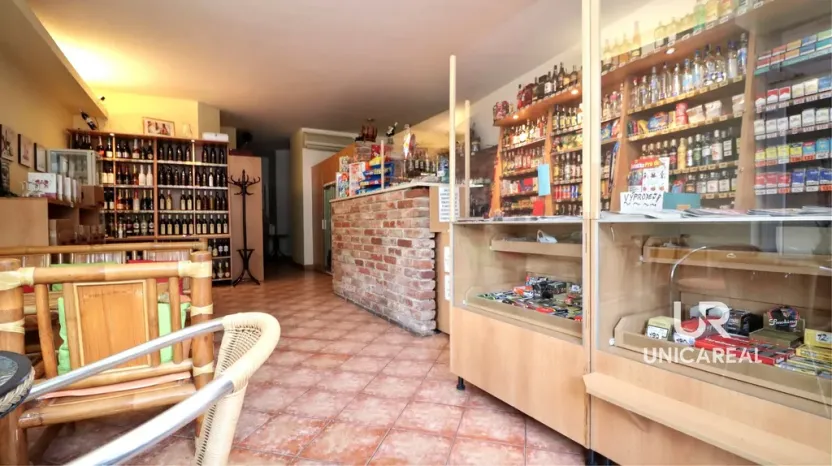 Prodej rodinného domu, Brno - Komín, Hlavní, 558 m2