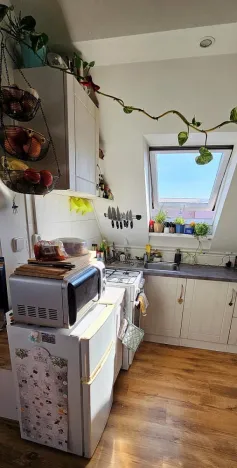 Pronájem bytu 2+kk, Brno - Černovice, Řehořova, 26 m2