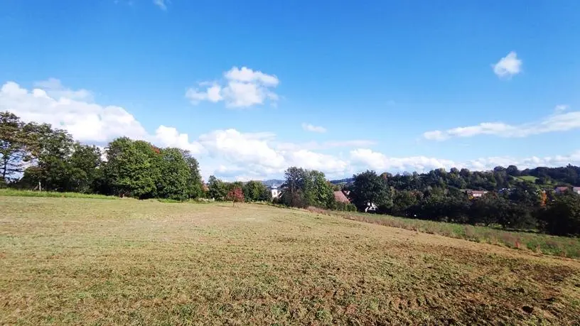 Prodej pozemku pro bydlení, Postupice, 4099 m2