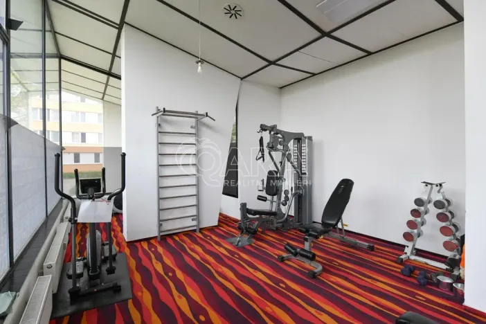 Pronájem bytu 3+kk, Praha - Karlín, Molákova, 42 m2