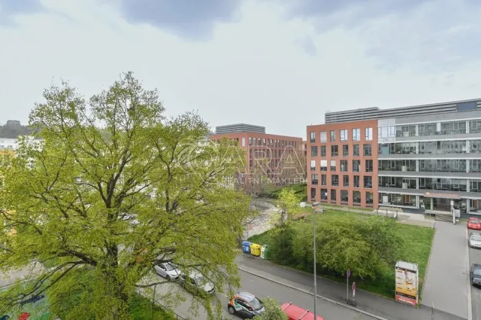 Pronájem bytu 3+kk, Praha - Karlín, Molákova, 42 m2