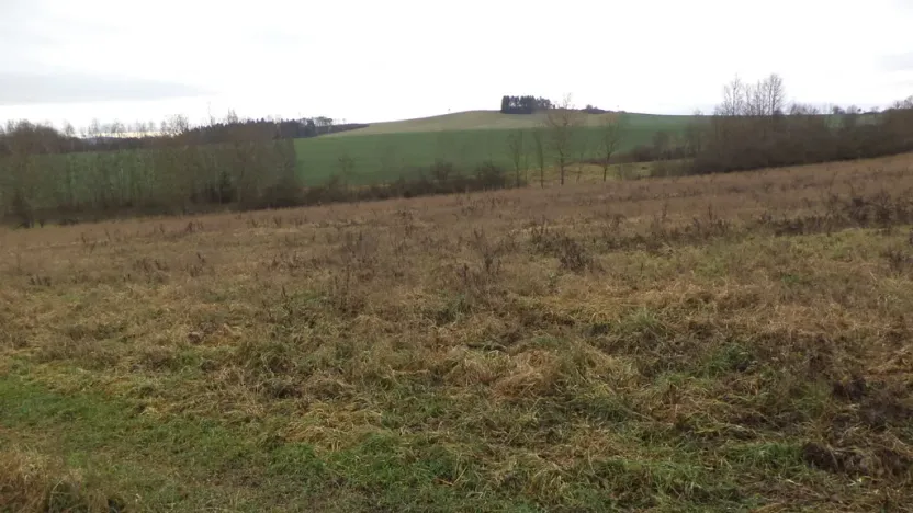 Prodej pole, Srby, 7890 m2