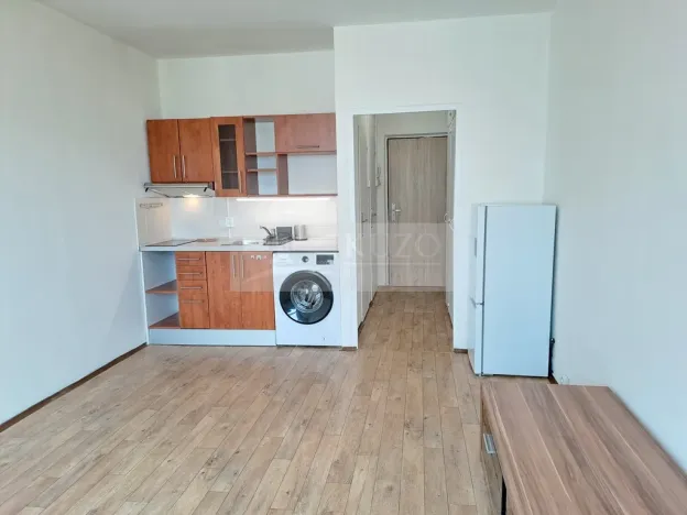 Pronájem bytu 1+kk, Praha - Braník, Nad lesním divadlem, 24 m2