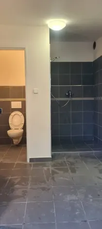 Pronájem výrobních prostor, Liběchov, 55 m2