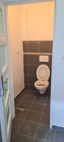 Pronájem výrobních prostor, Liběchov, 55 m2
